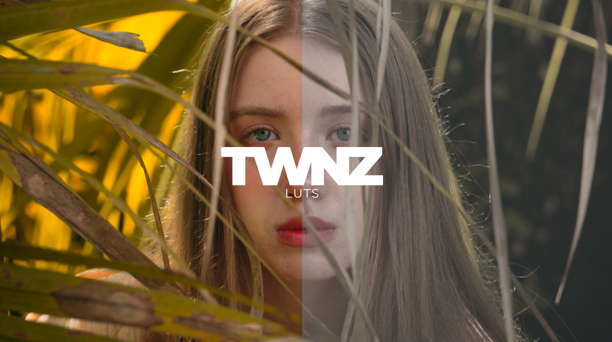 TWNZ Cinematic LUT Collection